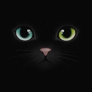 Meet your Posher, Felicia